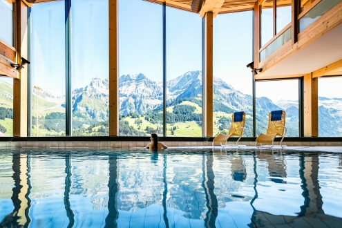 Wellness Wellness